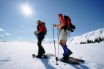 Going skiing -   