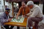 Playing chess -   